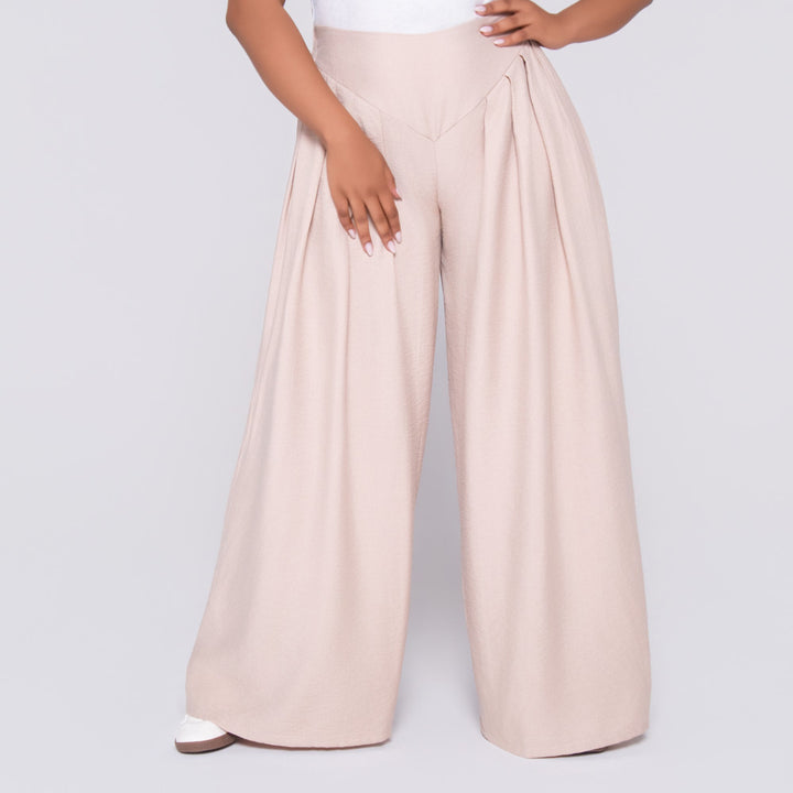 Stone Front Pleat Crypto Pants