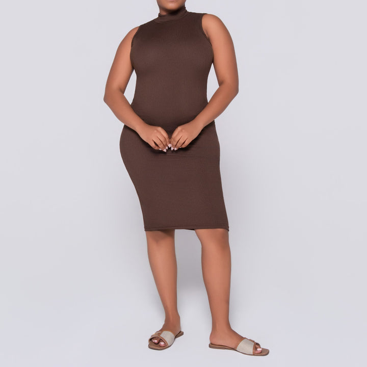 Chocolate Sleeveless  Dress