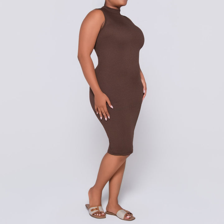 Chocolate Sleeveless  Dress