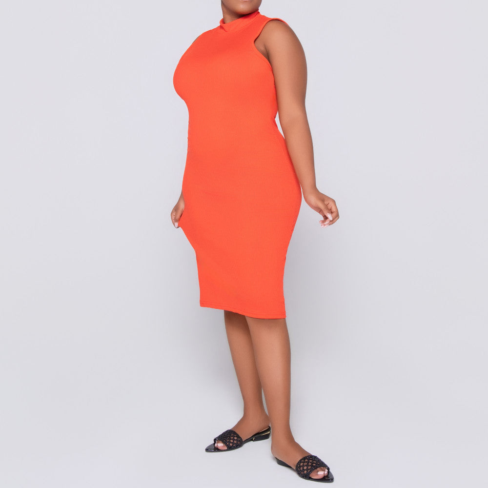Terracotta Sleeveless  Dress