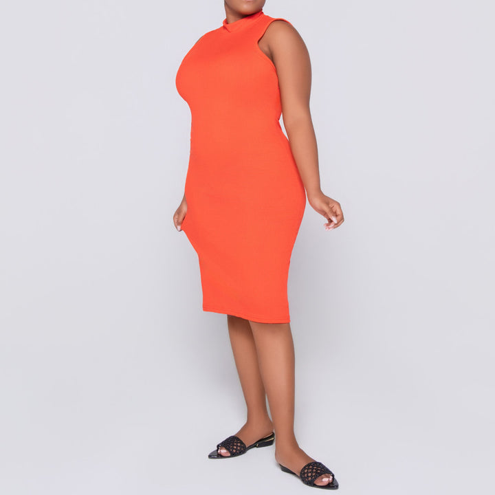 Terracotta Sleeveless  Dress