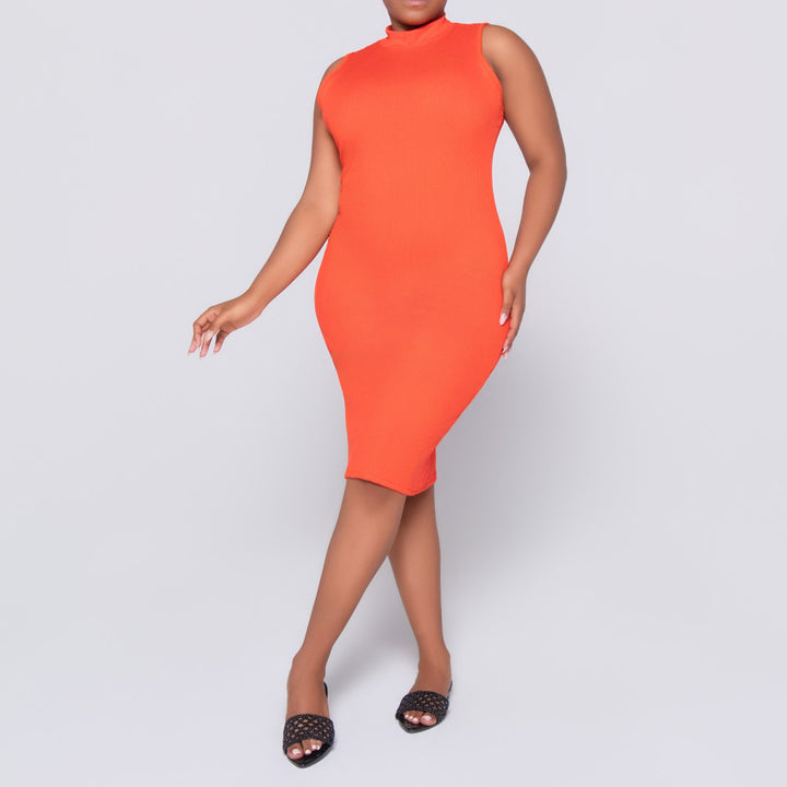 Terracotta Sleeveless  Dress