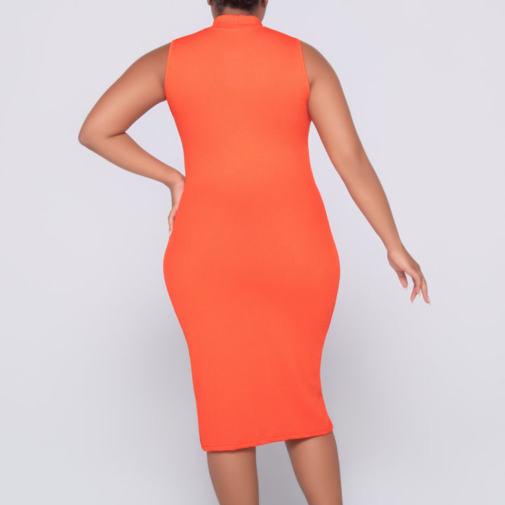 Terracotta Sleeveless  Dress