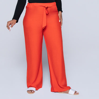 Plain Terracotta Nylon Rayon Pants