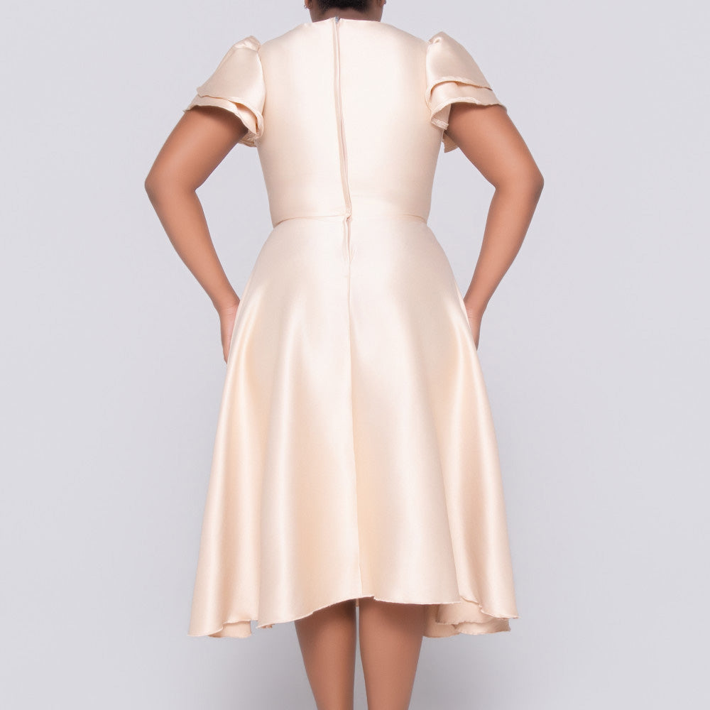 Ladies Plain Short Sleeves Nude Dress
