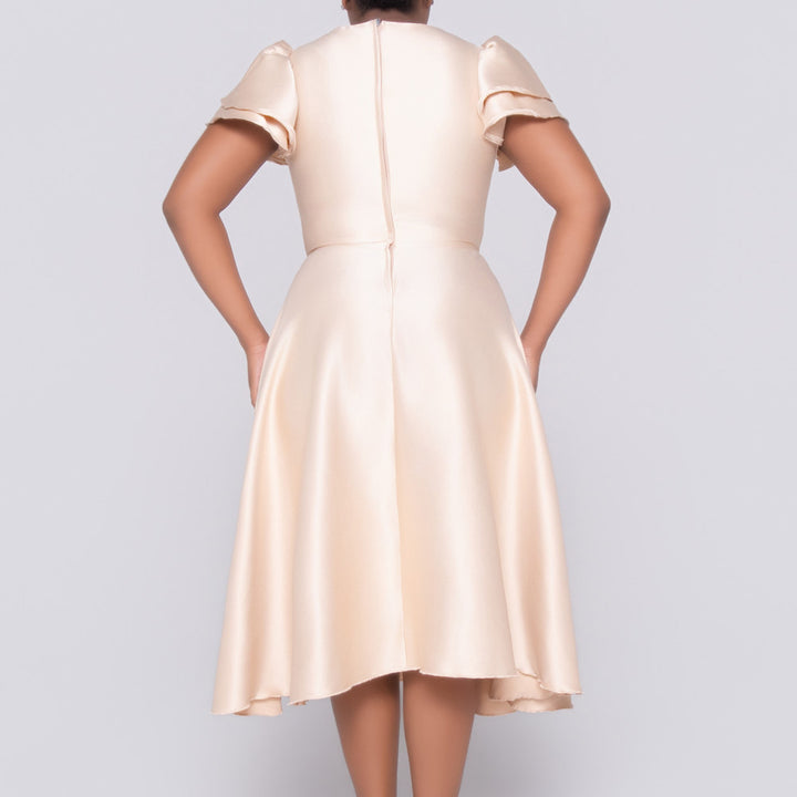 Ladies Plain Short Sleeves Nude Dress
