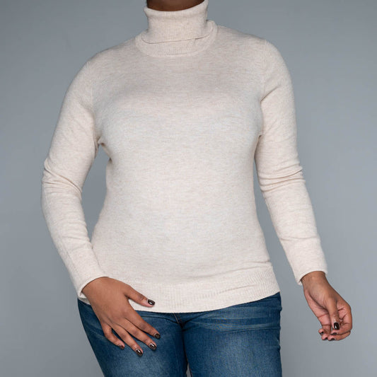 Beige  Plain Poloneck