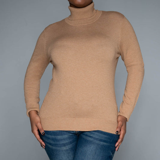 Brown Plain Poloneck