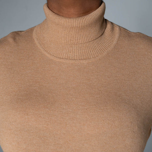 Brown Plain Poloneck